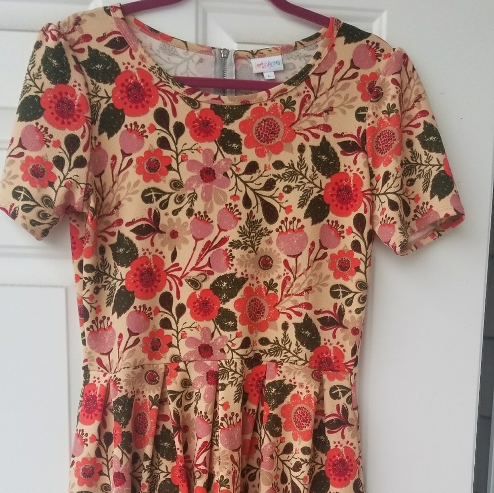 Stunning floral Amelia Lularoe Dress